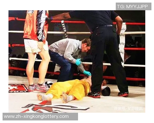 一龙与皮克索尔的巅峰对决谁将成为武林新王者